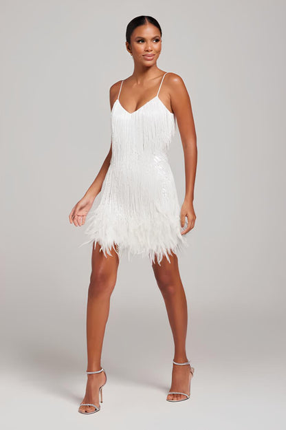FRINGE FEATHER DRESS
