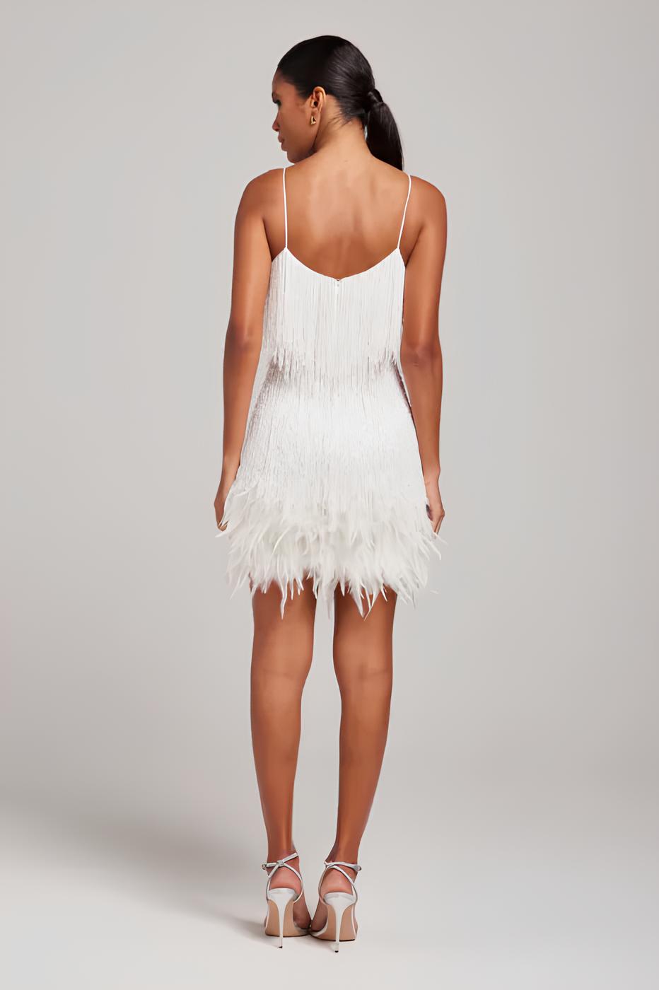 FRINGE FEATHER DRESS